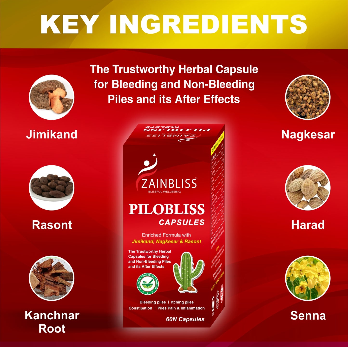 PILOBLISS CAPSULES 60'S PACK